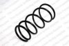 LESJ?FORS 4092553 Coil Spring